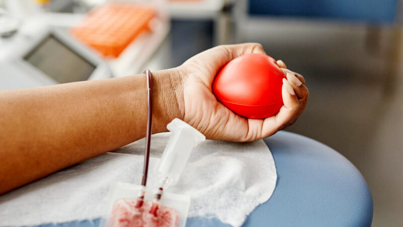 JUNHO VERMELHO 🩸 | Campanha destaca ato de doar sangue como atitude que salva vidas. Faça a sua parte!